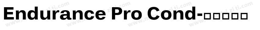 Endurance Pro Cond字体转换